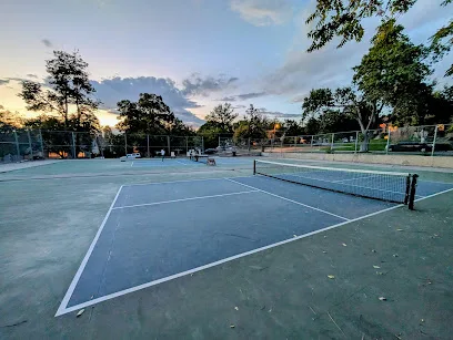 5th Ave & C Street Pickleball Courts