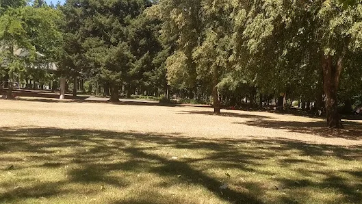 Alberta Park photo 3