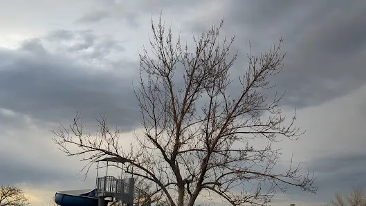 Aqua Vista Park photo 3