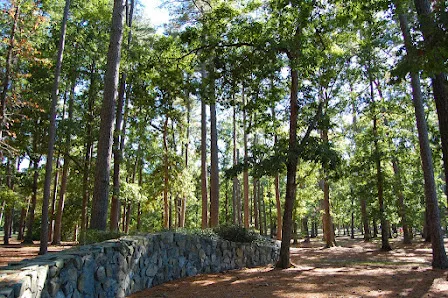 Bayville Farms Park photo 4