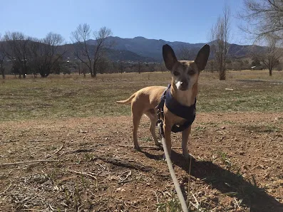 Bear Creek Regional Park photo 2