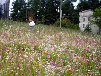 Bitter Lake Playfield