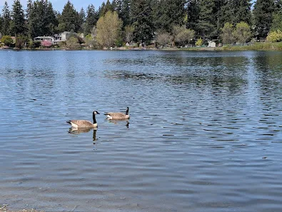 Bitter Lake Playfield photo 2