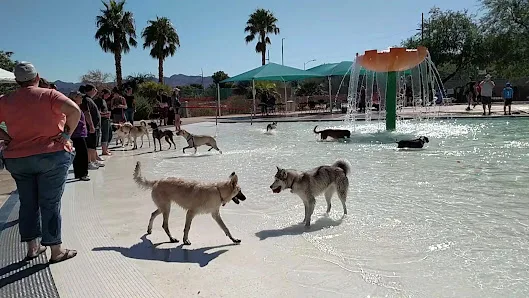 Black Mountain Recreation Center photo 2