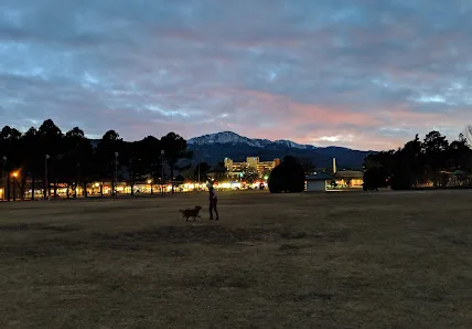 Bonforte Park photo 2