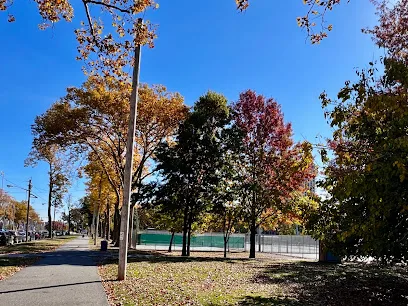 Braddock Pickleball (Open Play)