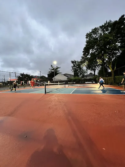 Buchmuller Park Pickleball Courts