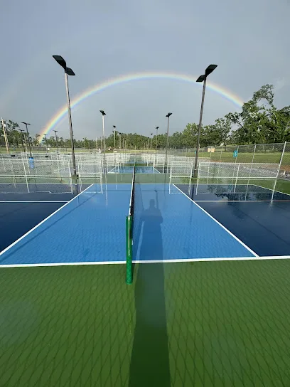 Burns Park Pickleball Courts