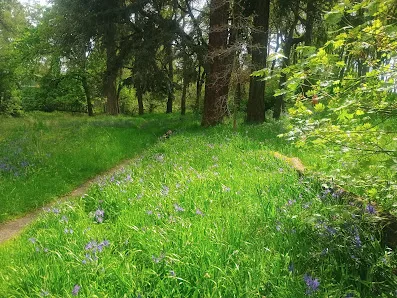 Bush's Pasture Park photo 2