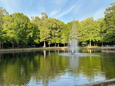 Cameron Brown Park photo 2