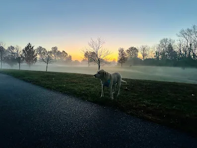 Center Green Park Pickleball courts photo 2