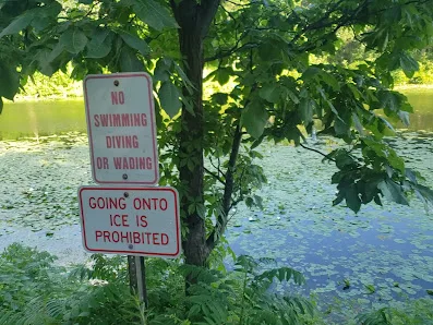 Charter Oak Park photo 2