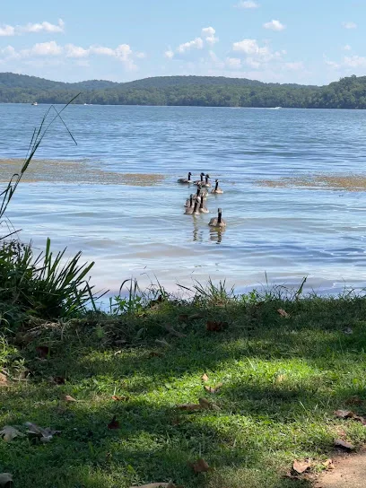 Chester Frost Park, Pickleball, and tennis courts