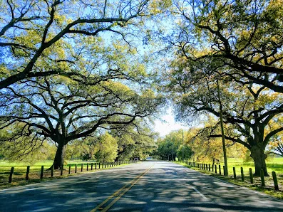 City Park / Pepsi Tennis Center photo 4