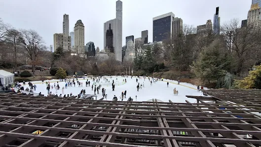 CityPickle at Wollman Rink photo 4