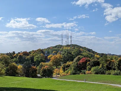 Cobbs Hill Park