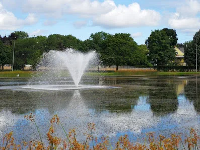 Cobbs Hill Park photo 4