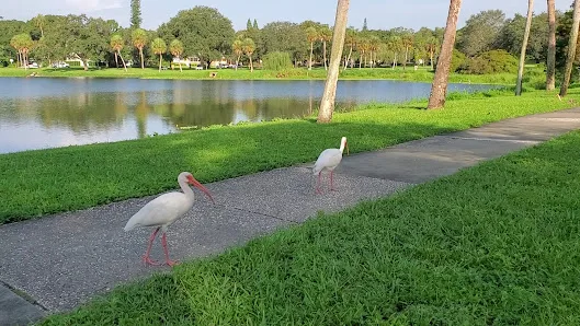 Crescent Lake Park photo 2