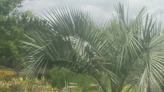 Crescent Park photo 3