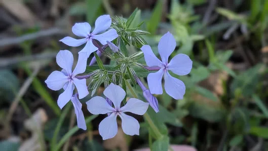 Crestview Park photo 2