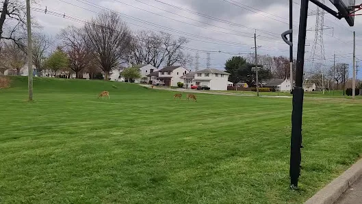 De Muro Park photo 2