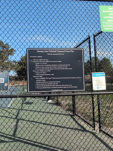Deering Oaks Park pickle ball courts — image 2