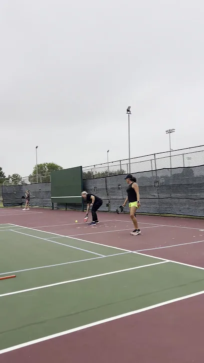 Dutch Branch Park Tennis and Pickleball Courts