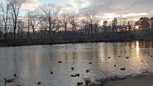 Edgewood Park photo 2