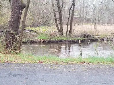 Edgewood Park photo 5