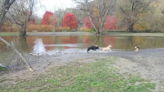 Ellison Park photo 3