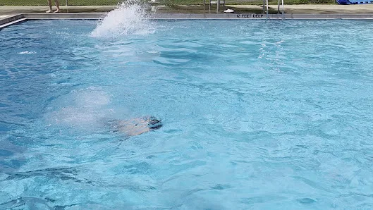 Elm Avenue Park photo 2