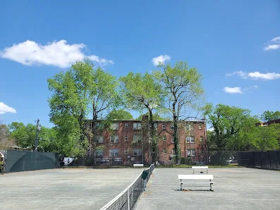 Fergus Reid Tennis Park photo 2