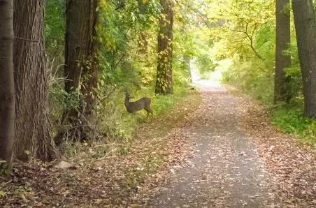 Genesee Valley Park photo 2