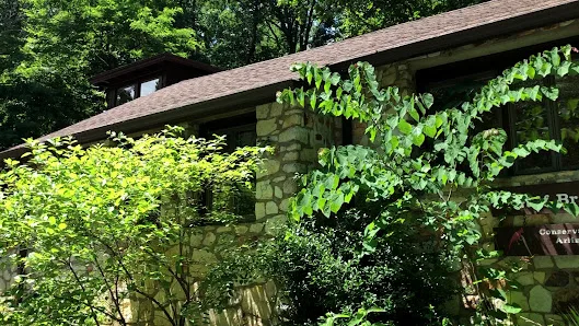 Glebe Road Park photo 2