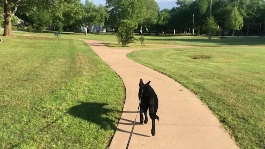 Goodholm Park photo 2