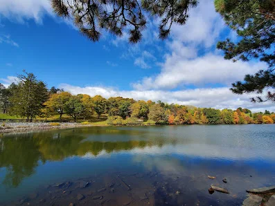 Green Hill Park photo 4