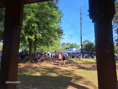 Homewood Central Park photo 2