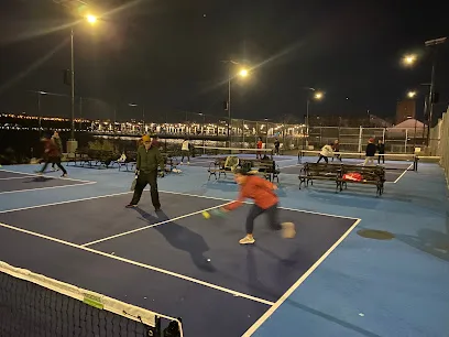Hudson River Park Pickleball Courts photo 2