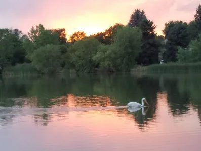 Huston Lake Park photo 3