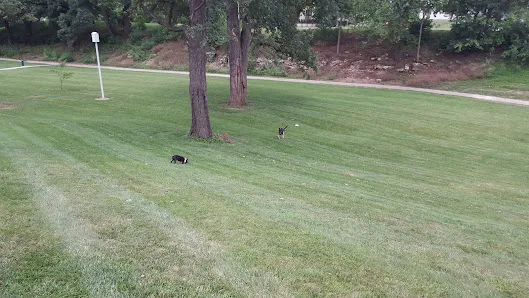 Hyde Park Tennis Court photo 2