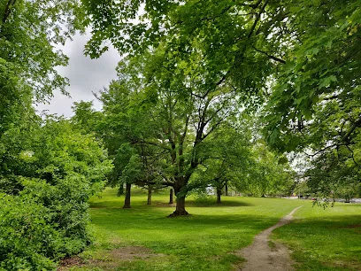 Institute Park