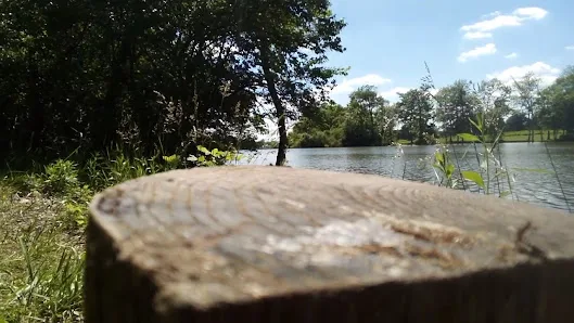 Jacobson Park photo 2