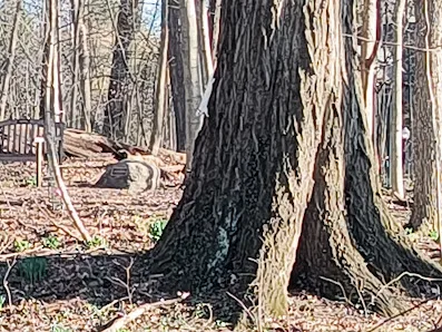 Jeffrey Pickleball Courts photo 2