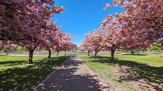 Joe Moakley Park photo 2