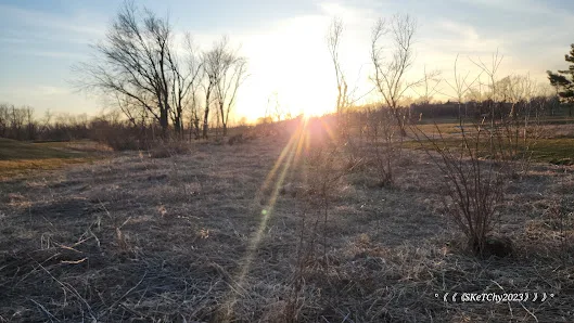 Jones Park Pickleball Courts photo 2