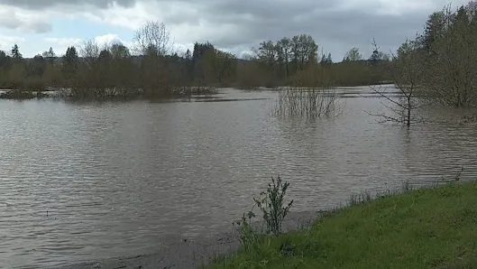 Keizer Rapids Park photo 2