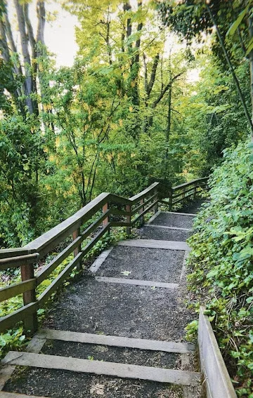 Kinnear Park Tennis and Pickleball Courts photo 2