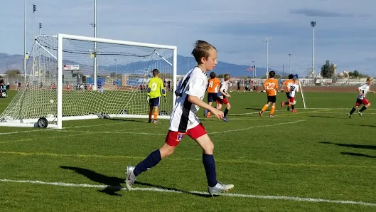 Kino Sports Complex (South Complex) photo 3