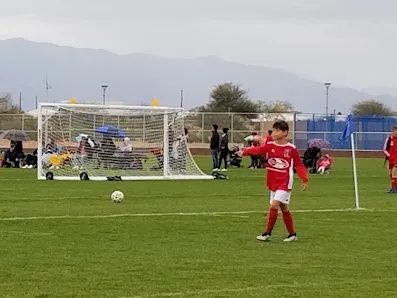 Kino Sports Complex (South Complex) photo 4