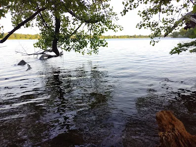 Lake Nokomis Pickleball Courts photo 2